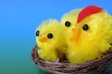 Image showing Easter chicks on blue background