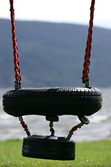 Image showing Wheel swing