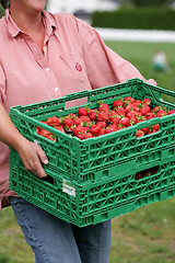 Image showing Strawberry