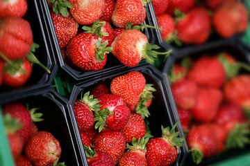 Image showing Sweet berries