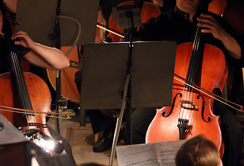 Image showing two violoncello in orchestra