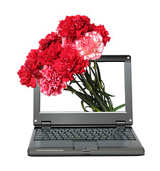 Image showing laptop with carnations bouquet