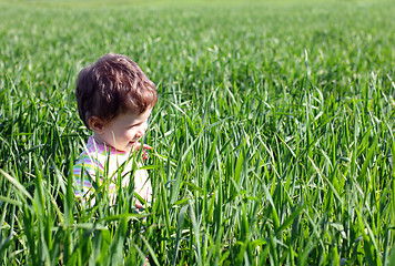 Image showing baby in high green grass