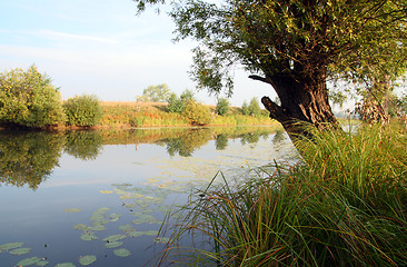 Image showing summer lake