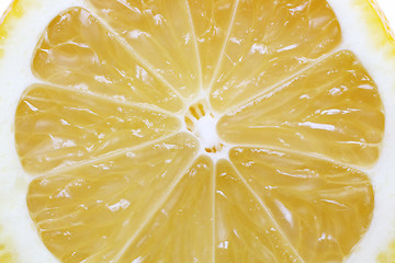 Image showing lemon fruit section