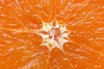 Image showing orange citrus fruit section