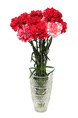 Image showing carnation flowers bouquet in vase