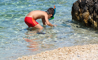 Image showing Young boy with snorkel hunts crabs and sea star in clear sea