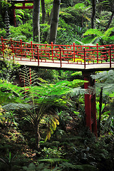 Image showing Monte Palace Tropical Garden– Monte, Madeira