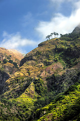 Image showing Back mountains of Madeira island, view from Ribeira da Serra – Portugal