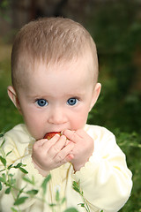 Image showing baby biting apple in grass