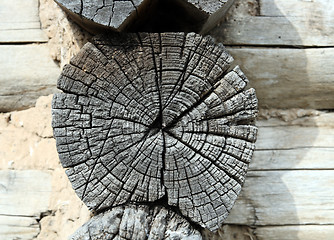 Image showing gray wooden weathered timber