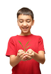 Image showing happy boy holding plant in hands