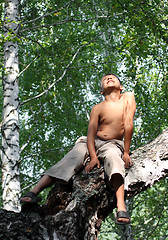 Image showing happy boy on birch tree