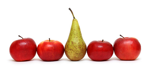 Image showing different - pear between green apples