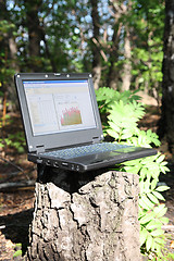 Image showing laptop forest - mobility concept