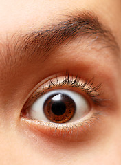 Image showing boy's eye