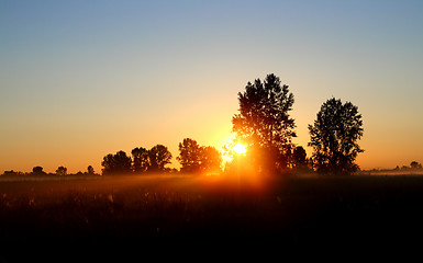 Image showing field with trees in dusk with sunset