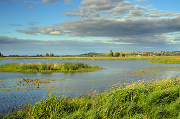 Image showing summer lake landscape