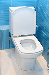 Image showing lavatory pan