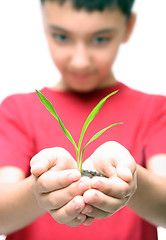 Image showing boy holding plant in hands