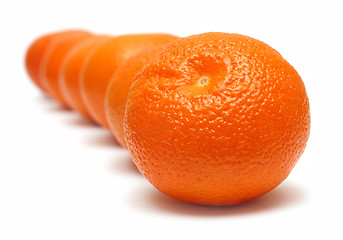 Image showing mandarins in row