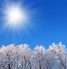 Image showing background with ice winter woods