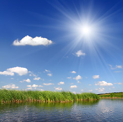 Image showing summer pond