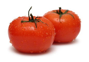 Image showing two ripe tomato with water drops