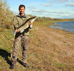 Image showing fishing man with big zander fish