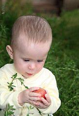 Image showing small baby holding apple