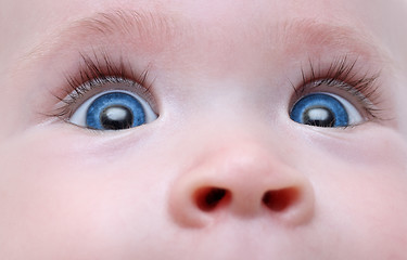 Image showing baby blue eyes