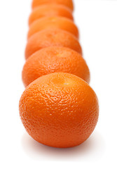 Image showing mandarins in row