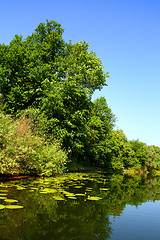 Image showing beauty summer lake landscape