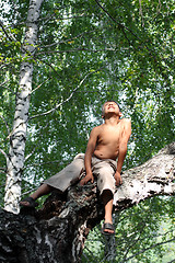 Image showing happy boy on birch tree