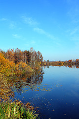 Image showing vertical autumn lake landscape