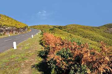 Image showing Road in Plateau of Parque natural de Madeira, Madeira island,  Portugal