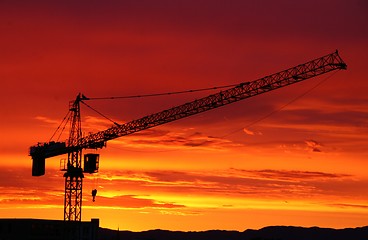 Image showing Crane in sunset