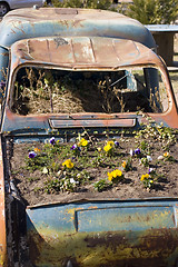Image showing Car flowerbed