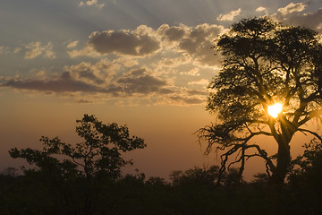 Image showing African sunset