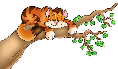 Image showing Sleeping cat on tree branch