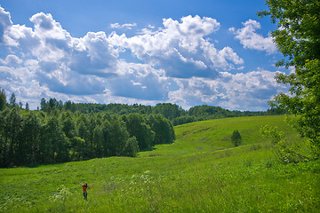 Image showing Person in the meadow