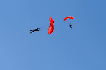 Image showing Parachutists