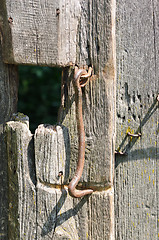 Image showing hook