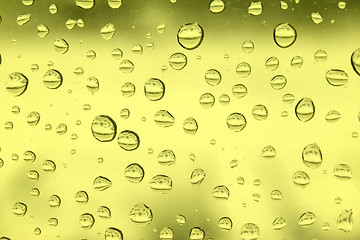 Image showing rain drops on glass