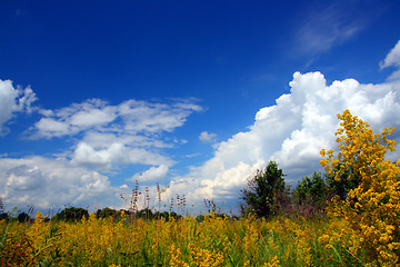 Image showing summer landscape