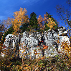 Image showing autumn landscape with rock