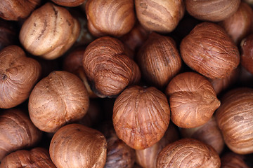 Image showing hazelnuts close-up background