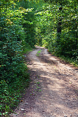 Image showing rural road in forest