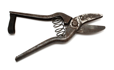 Image showing old gardening scissors